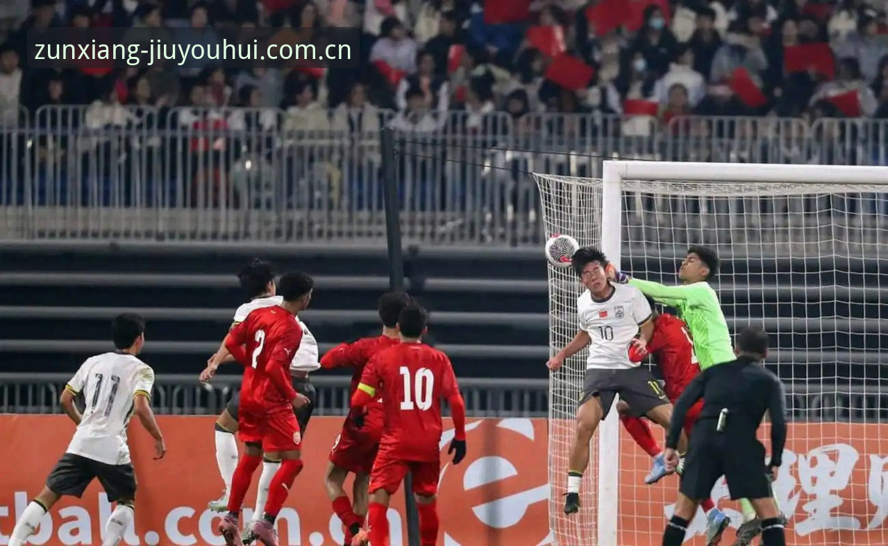 U17世界杯抽签结果深度解析：中国青少年足球新机遇使用教程