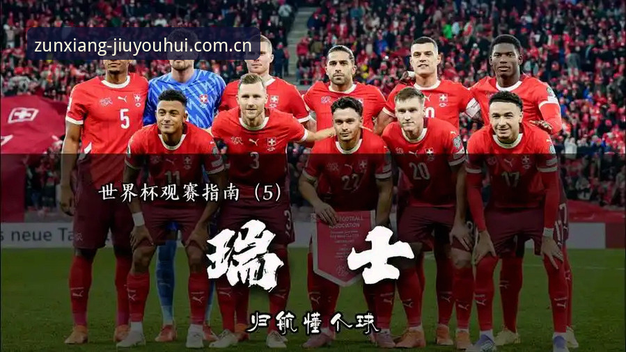 JIUYOUHUI入口 世界杯观赛受阻?从签证困局看赛事背后的地缘政治影响——J9九游平台用户观赛实用知识